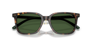 Shiny Dark Havana / Bottle Green (500371)