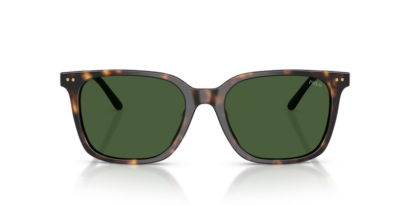 Polo Ralph Lauren PH4235U in Shiny Dark Havana / Bottle Green (500371) - Alternate View