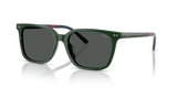 Shiny Green / Dark Grey (614087)