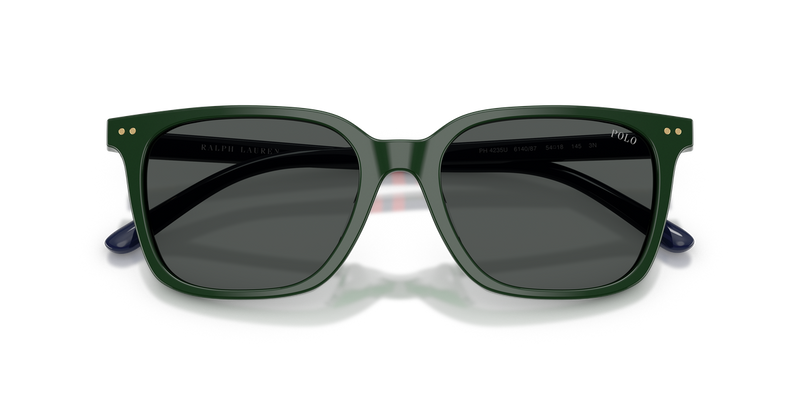 Polo Ralph Lauren PH4235U in Shiny Green / Dark Grey (614087) - Alternate View