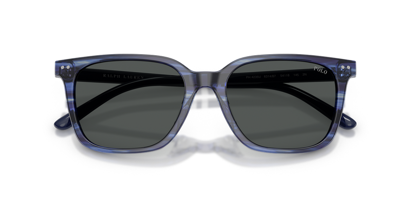 Polo Ralph Lauren PH4235U in Shiny Striped Blue / Dark Grey (631487) - Alternate View