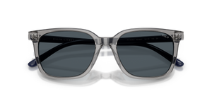 Shiny Transparent Grey / Bottle Green (631887)
