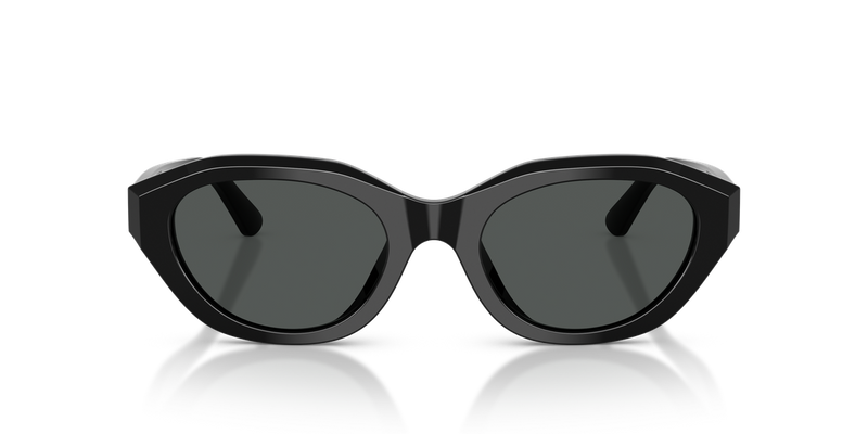 Polo Ralph Lauren PH4237U in Shiny Black - Alternate View