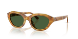 Shiny Tortoise Light Brown / Dark Green (618571)