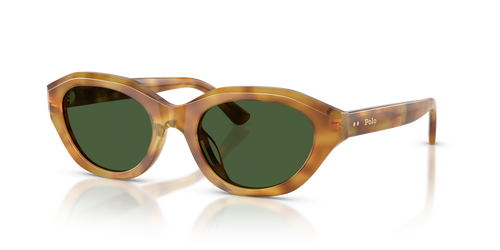Shiny Tortoise Light Brown / Dark Green (618571)