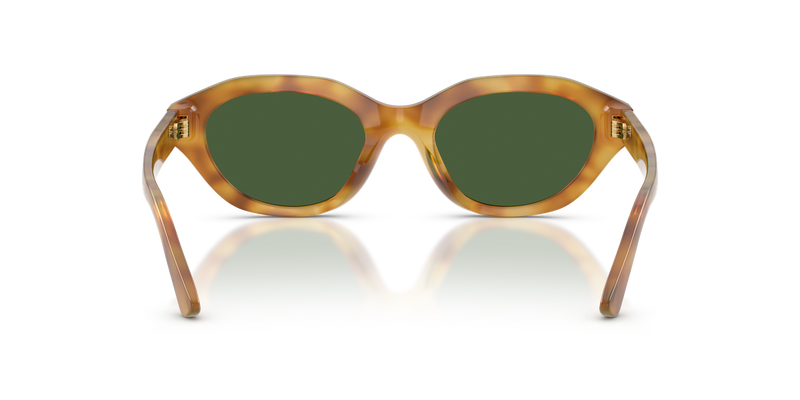 Polo Ralph Lauren PH4237U in Shiny Tortoise Light Brown - Temple Detail