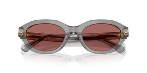 Shiny Transparent Grey / Dark Violet (631869)