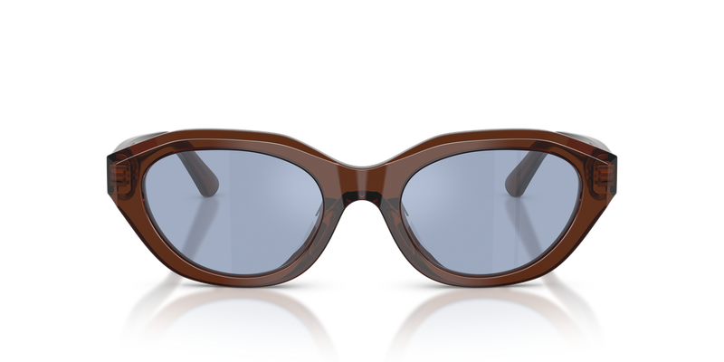 Polo Ralph Lauren PH4237U in Shiny Transparent Brown - Alternate View
