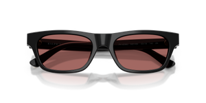 Shiny Black / Dark Violet (500169)