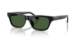 Shiny Black / Dark Green (500171)