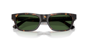 Shiny Dark Havana / Dark Green (500371)