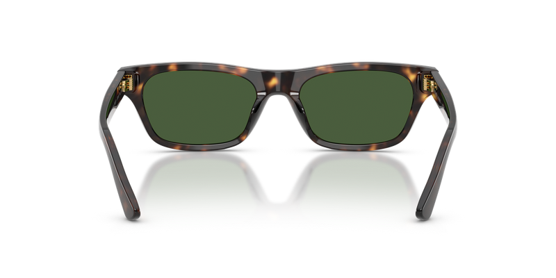 Polo Ralph Lauren PH4238U in Shiny Dark Havana - Alternate View