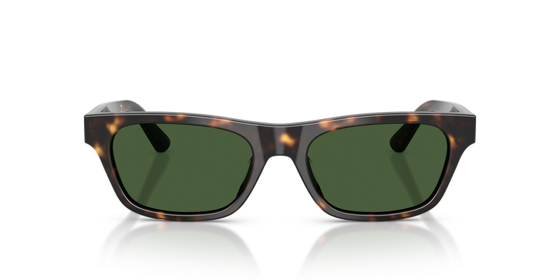 Polo Ralph Lauren PH4238U in Shiny Dark Havana - Alternate View
