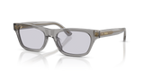 Shiny Transparent Grey / Lillac (63181A)