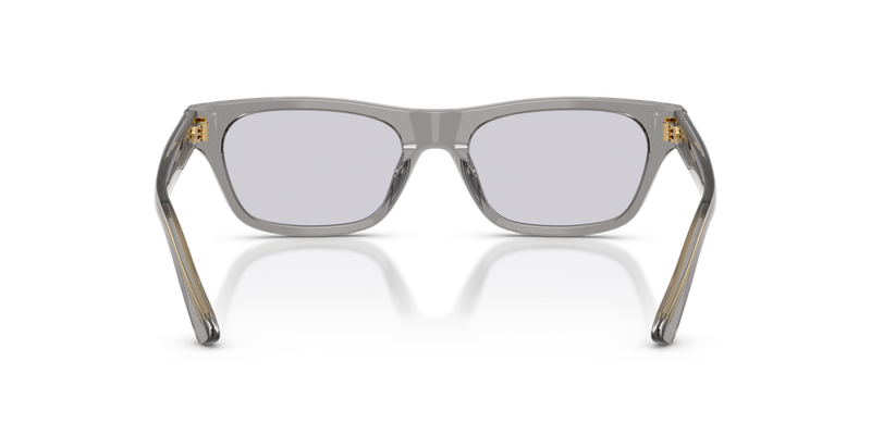 Polo Ralph Lauren PH4238U in Shiny Transparent Grey - Alternate View