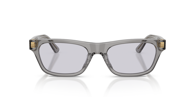 Polo Ralph Lauren PH4238U in Shiny Transparent Grey - Alternate View