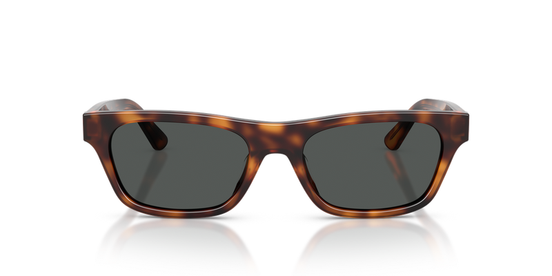 Polo Ralph Lauren PH4238U in Marrone Tartaruga - Alternate View