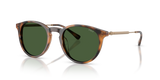 Shiny Red Havana / Dark Green (500371)