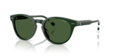 Shiny Green / Dark Green (631671)