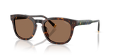 Shiny Havana / Dark Brown (562573)