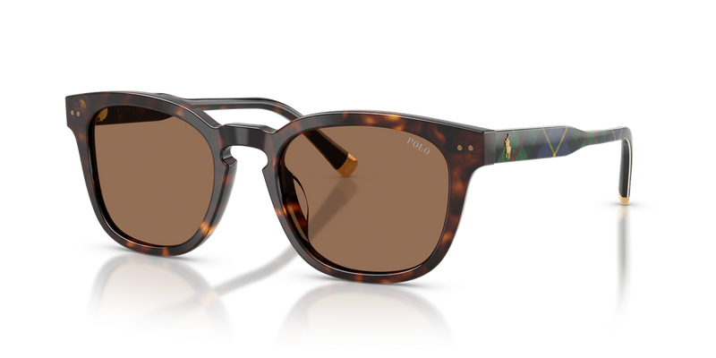 Polo Ralph Lauren PH4242F in Shiny Havana - Alternate View
