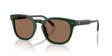 Shiny Dark Green / Dark Brown (614073)