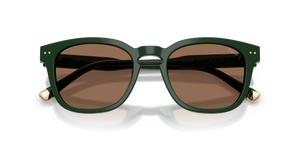 Shiny Dark Green / Dark Brown (614073)