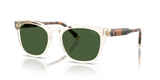 Shiny Transparent Yellow / Dark Green (635771)