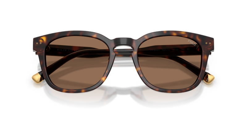 Polo Ralph Lauren PH4242U in Shiny Havana / Dark Brown (562573) - Alternate View