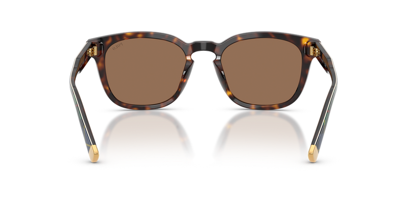 Polo Ralph Lauren PH4242U in Shiny Havana / Dark Brown (562573) - Alternate View