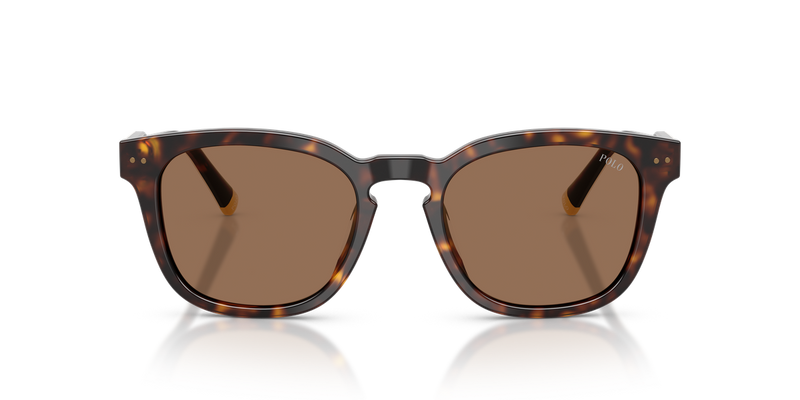 Polo Ralph Lauren PH4242U in Shiny Havana / Dark Brown (562573) - Alternate View