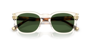 Shiny Transparent Yellow / Dark Green (635771)