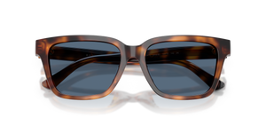 Shiny Tortoise / Dark Blue (635580)