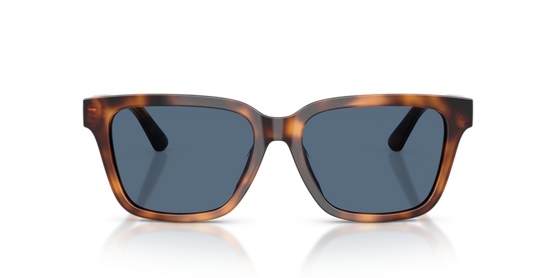 Polo Ralph Lauren PH4247U in Shiny Tortoise - Alternate View