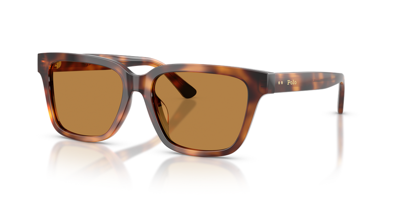 Polo Ralph Lauren PH4247U in Shiny Tortoise - Alternate View