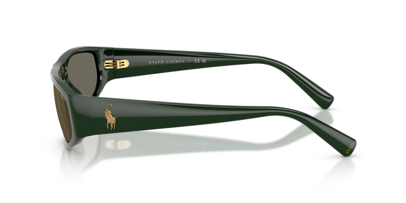 Polo Ralph Lauren PH4250U in Shiny Polo Bar Green - Back View