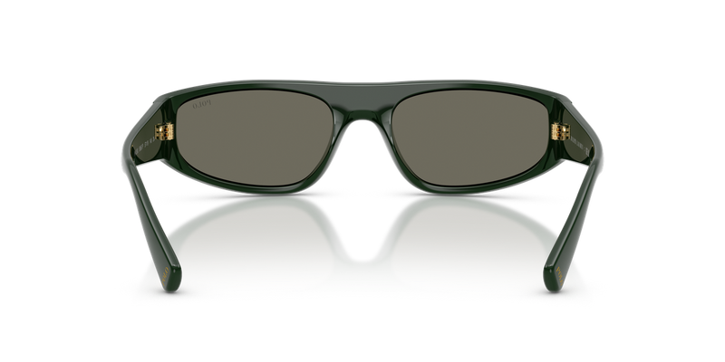 Polo Ralph Lauren PH4250U in Shiny Polo Bar Green - Temple Detail