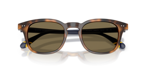 Shiny Tortoise / Brown (608973)