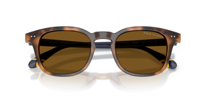 Shiny Tortoise / Polarized Brown (608983)