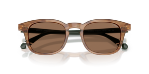 Shiny Striped Havana / Dark Brown (613873)