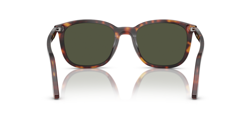 Persol PO3355S in Havana / Green (24/31) - Alternate View