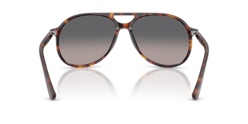 Persol WALTER in Havana - Alternate View