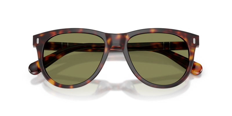 Persol PO3408S in Havana - Alternate View