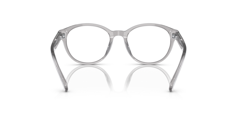 Polo Prep 0PP8546U in Shiny Transparent Grey - Temple Detail