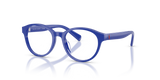 Shiny Blue / Demo Lens (6324)