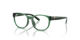 Shiny Transparent Green / Demo Lens (6312)