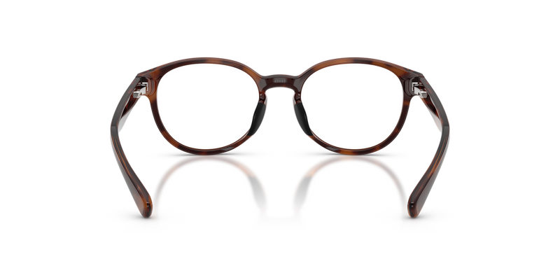 Polo Prep 0PP8550U in Shiny Caramel Havana - Alternate View