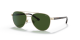 Shiny Pale Gold / Dark Green (918971)