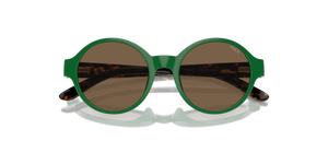 Shiny Green / Brown (619273)