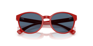 Shiny Red / Dark Blue (632680)